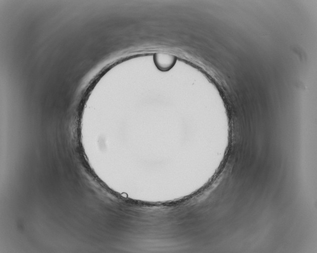 X0000111221502200908131050