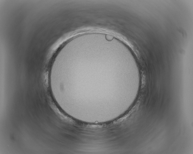 X0000111221503200908131050