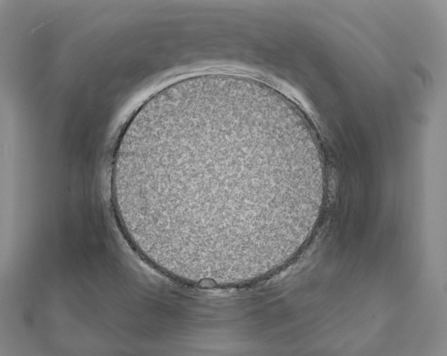 X0000111221504200908131050
