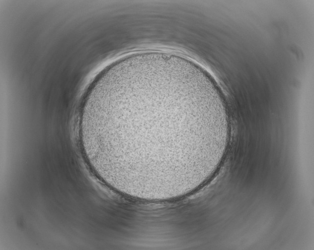 X0000111221507200908131050