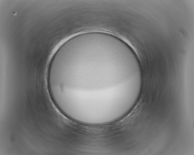 X0000111221508200908131050
