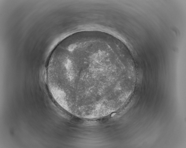 X0000111221509200908131050