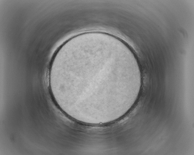 X0000111221510200908131050