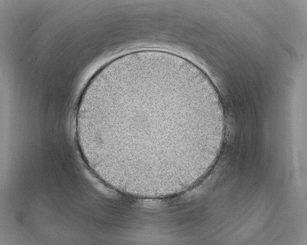 X0000111221511200908131050