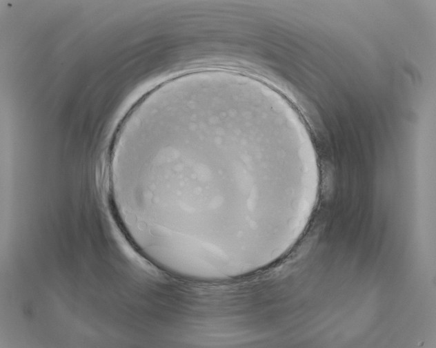 X0000111221515200908131050
