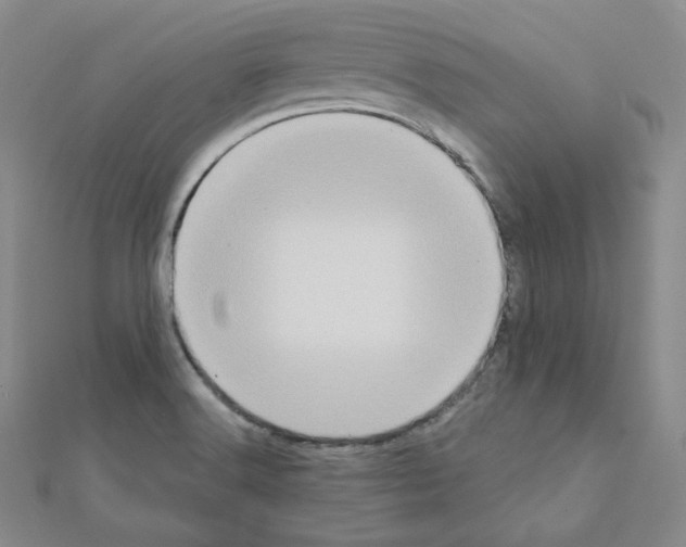 X0000111221516200908131050