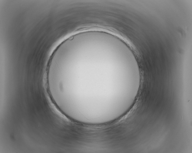 X0000111221518200908131050