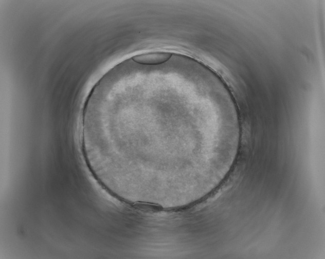 X0000111221520200908131050