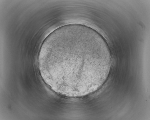 X0000111221521200908131050