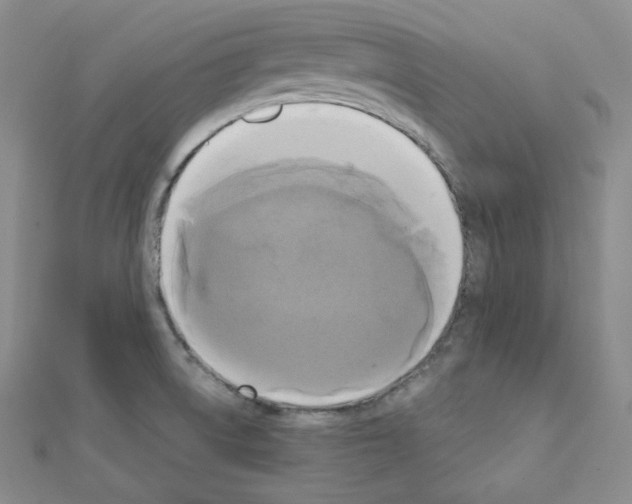 X0000111221522200908131050