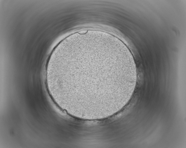 X0000111221523200908131050
