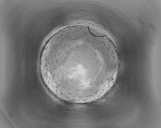 X0000111221525200908131050