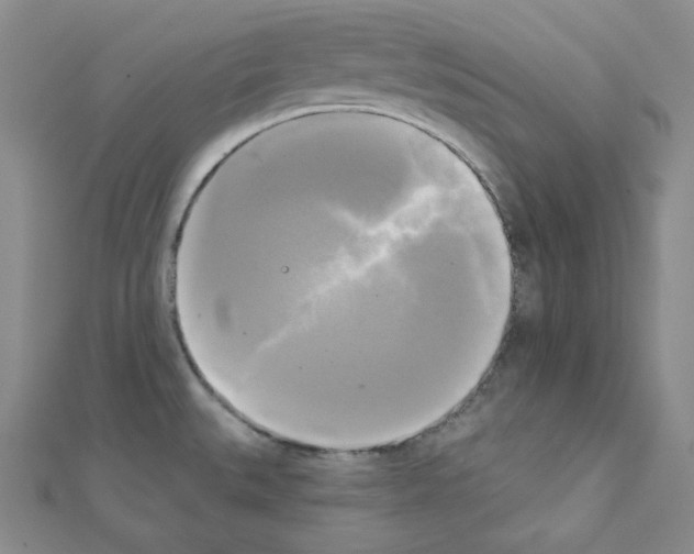 X0000111221527200908131050