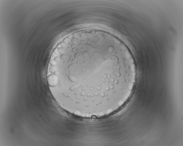 X0000111221529200908131050