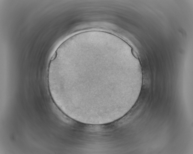 X0000111221532200908131050