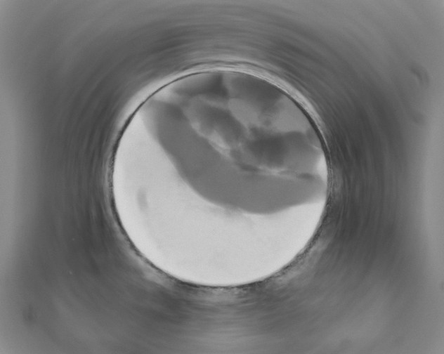X0000111221533200908131050
