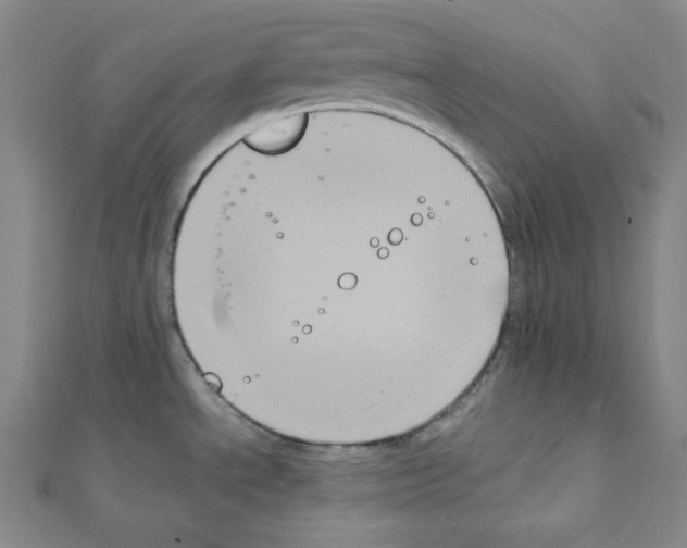 X0000111221534200908131050
