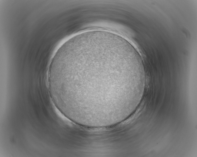 X0000111221535200908131050