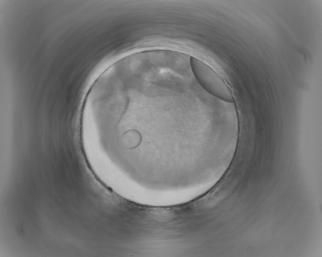 X0000111221536200908131050