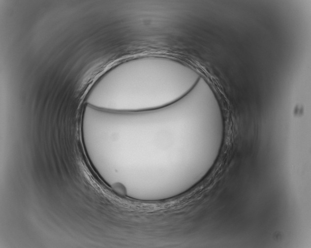 X0000111230002200907021035