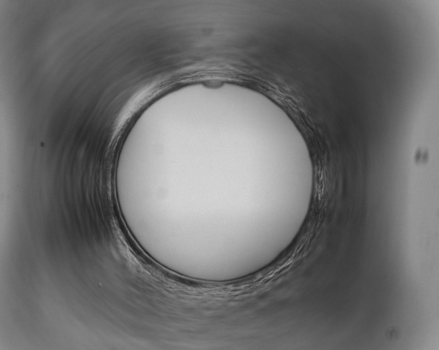 X0000111230004200907021035