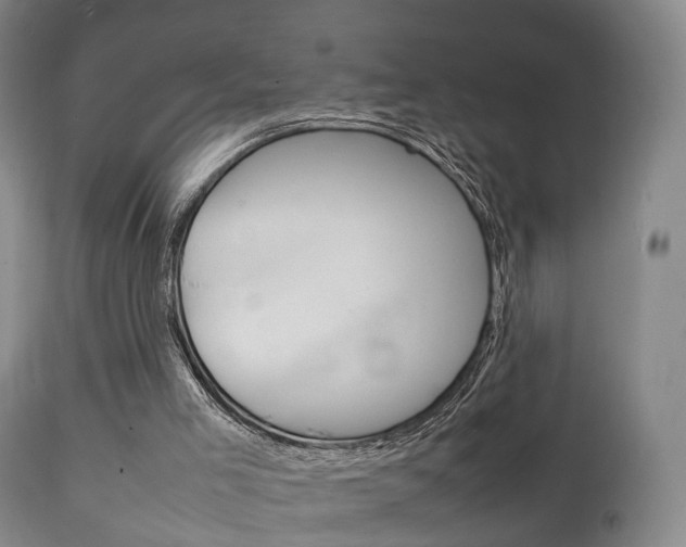 X0000111230005200907021035