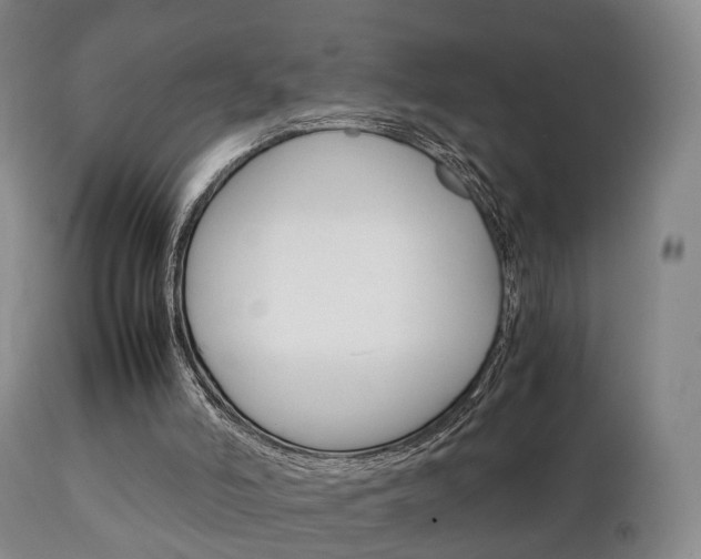 X0000111230006200907021035