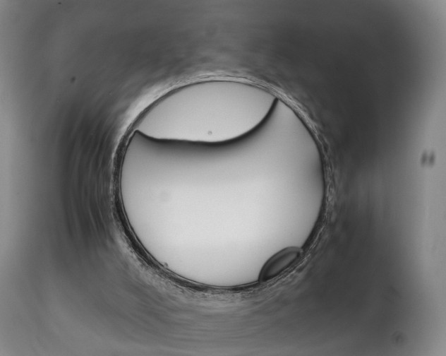 X0000111230008200907021035
