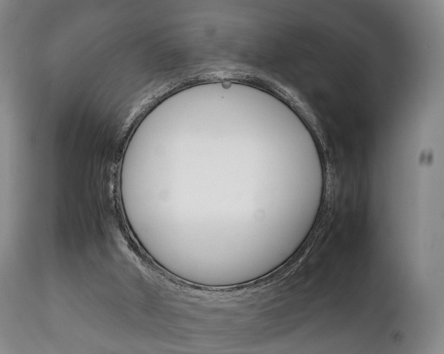 X0000111230010200907021035