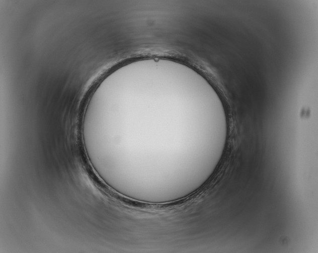 X0000111230012200907021035