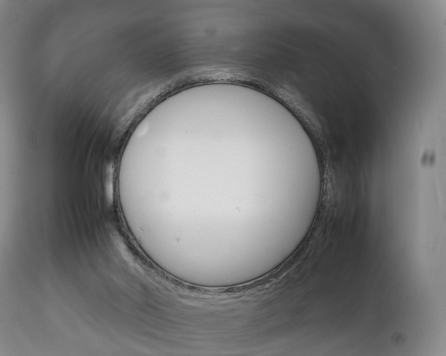 X0000111230014200907021035