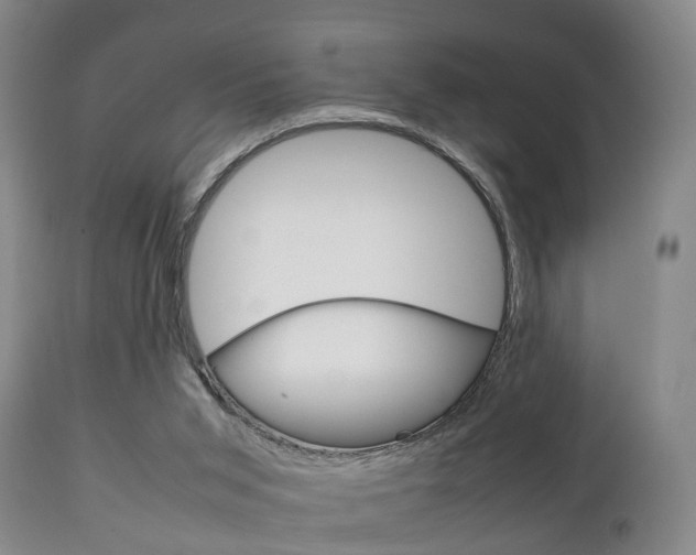 X0000111230015200907021035