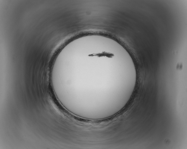 X0000111230016200907021035