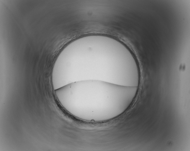 X0000111230017200907021035