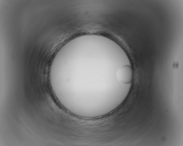 X0000111230018200907021035