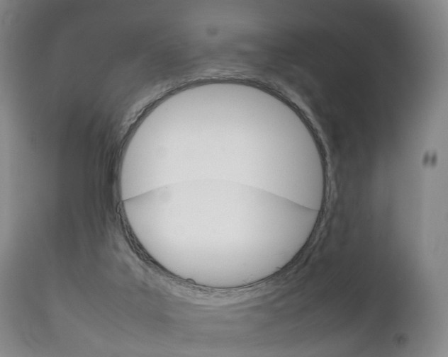 X0000111230019200907021035