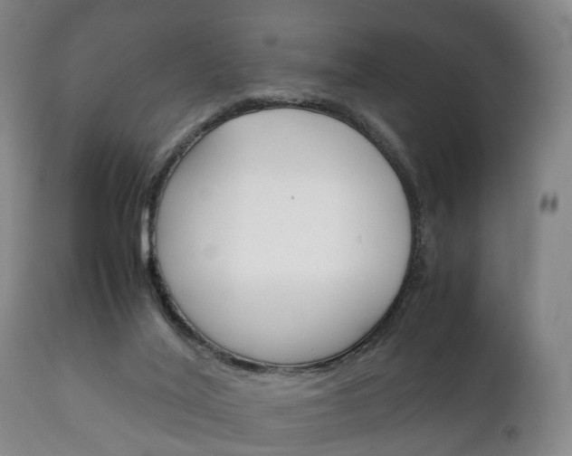 X0000111230020200907021035