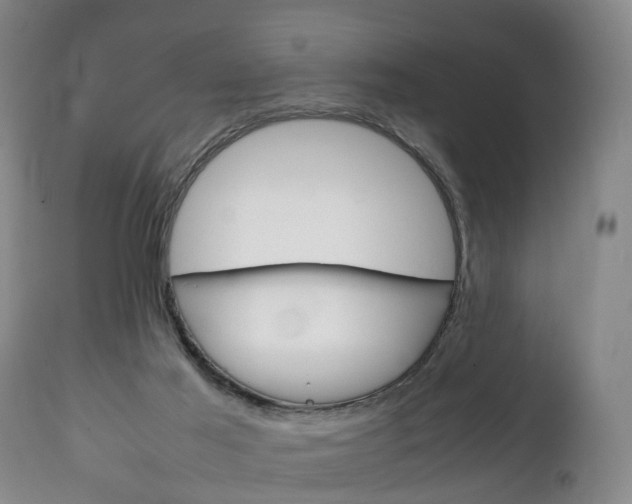 X0000111230021200907021035