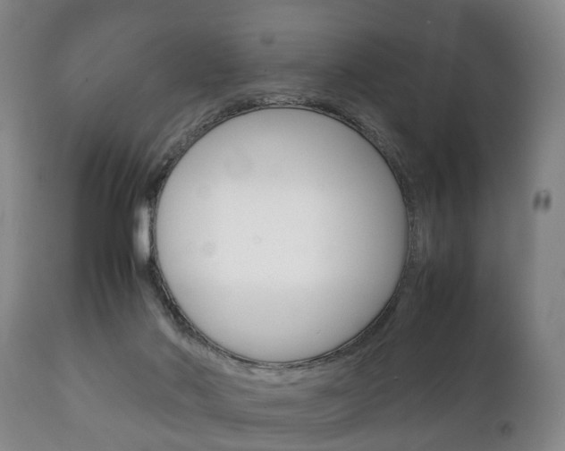 X0000111230022200907021035