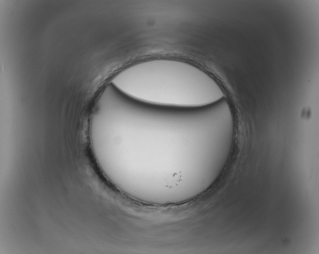 X0000111230023200907021035