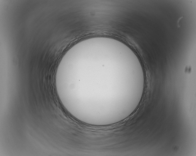 X0000111230025200907021035
