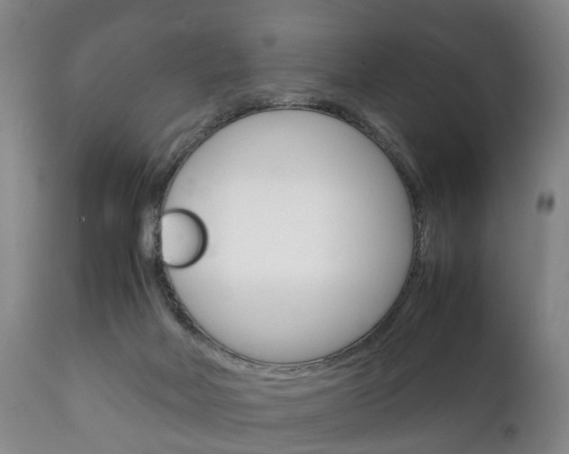 X0000111230026200907021035