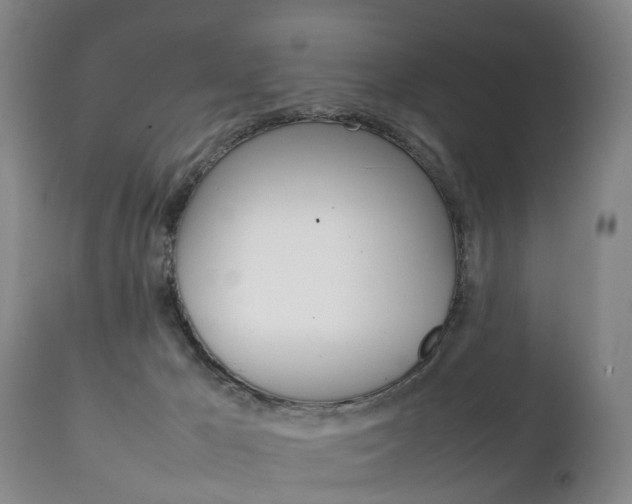 X0000111230029200907021035