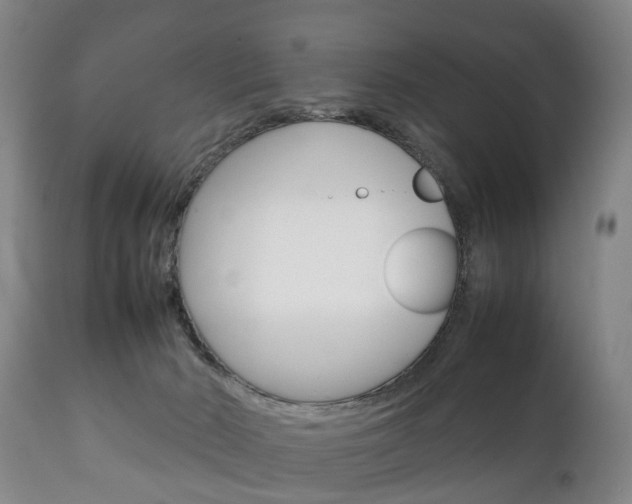 X0000111230030200907021035