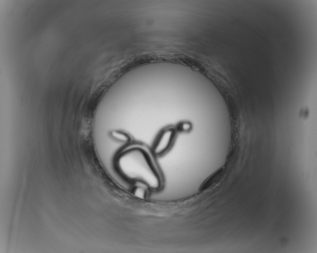 X0000111230033200907021035
