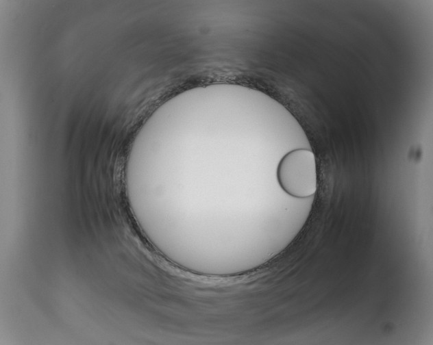 X0000111230034200907021035