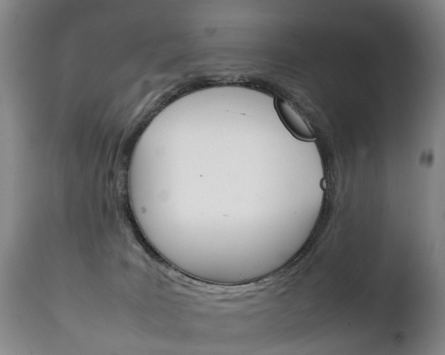 X0000111230035200907021035