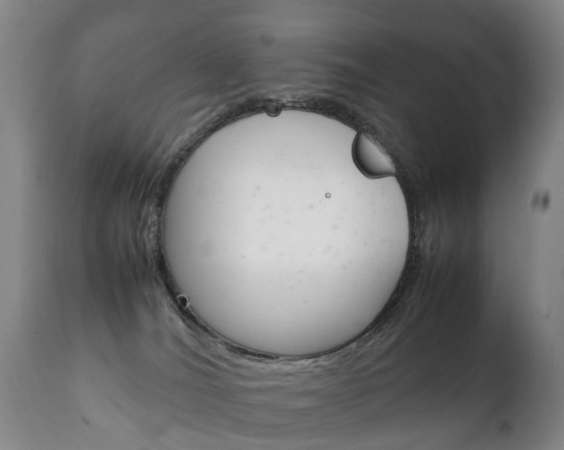 X0000111230036200907021035