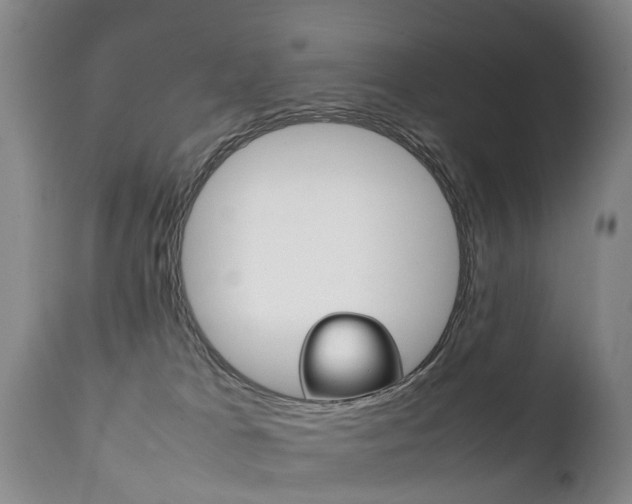 X0000111230037200907021035