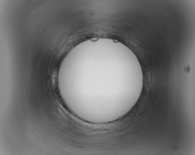 X0000111230038200907021035